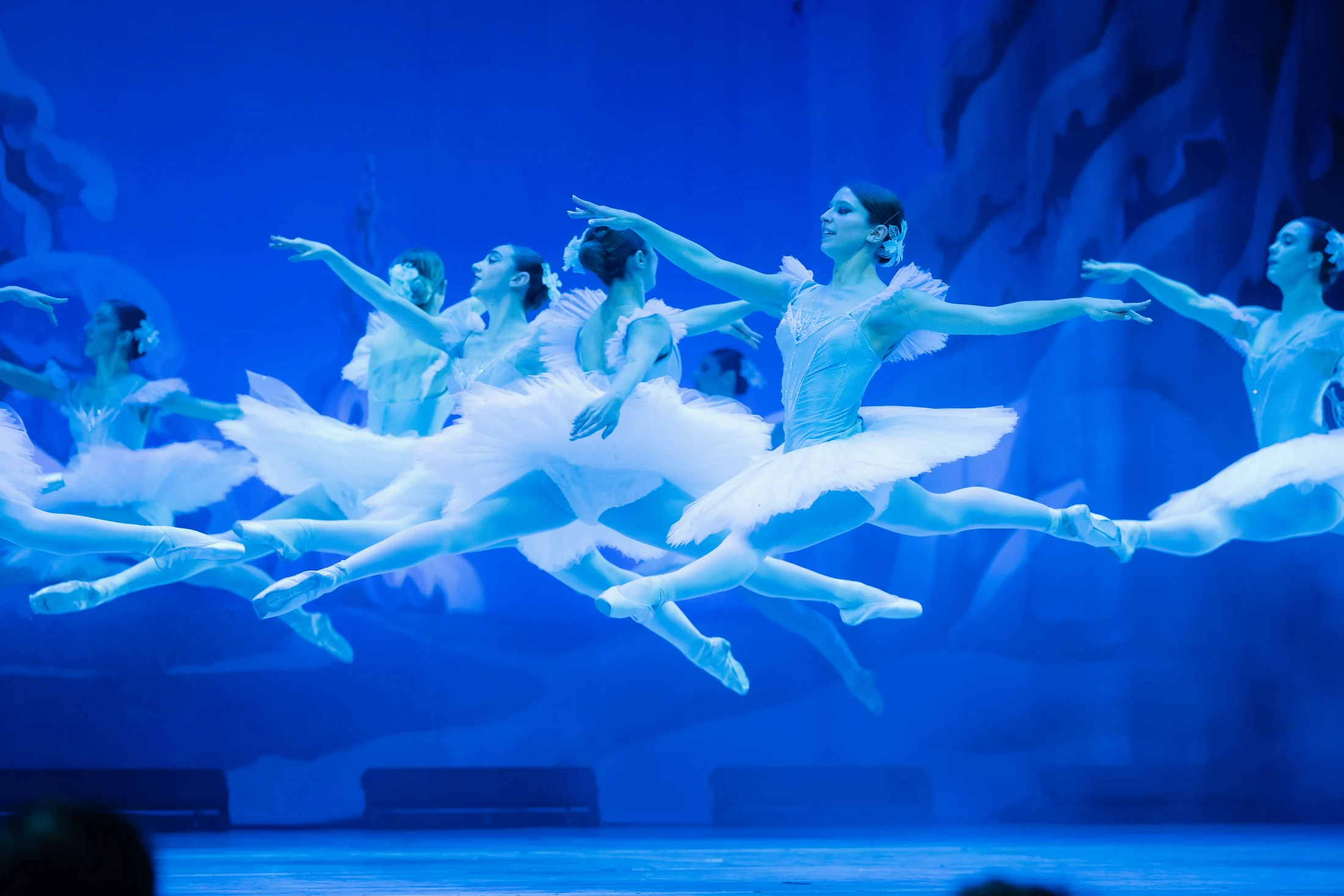 Festliche Ballettgala — Bühnenaufnahme 1