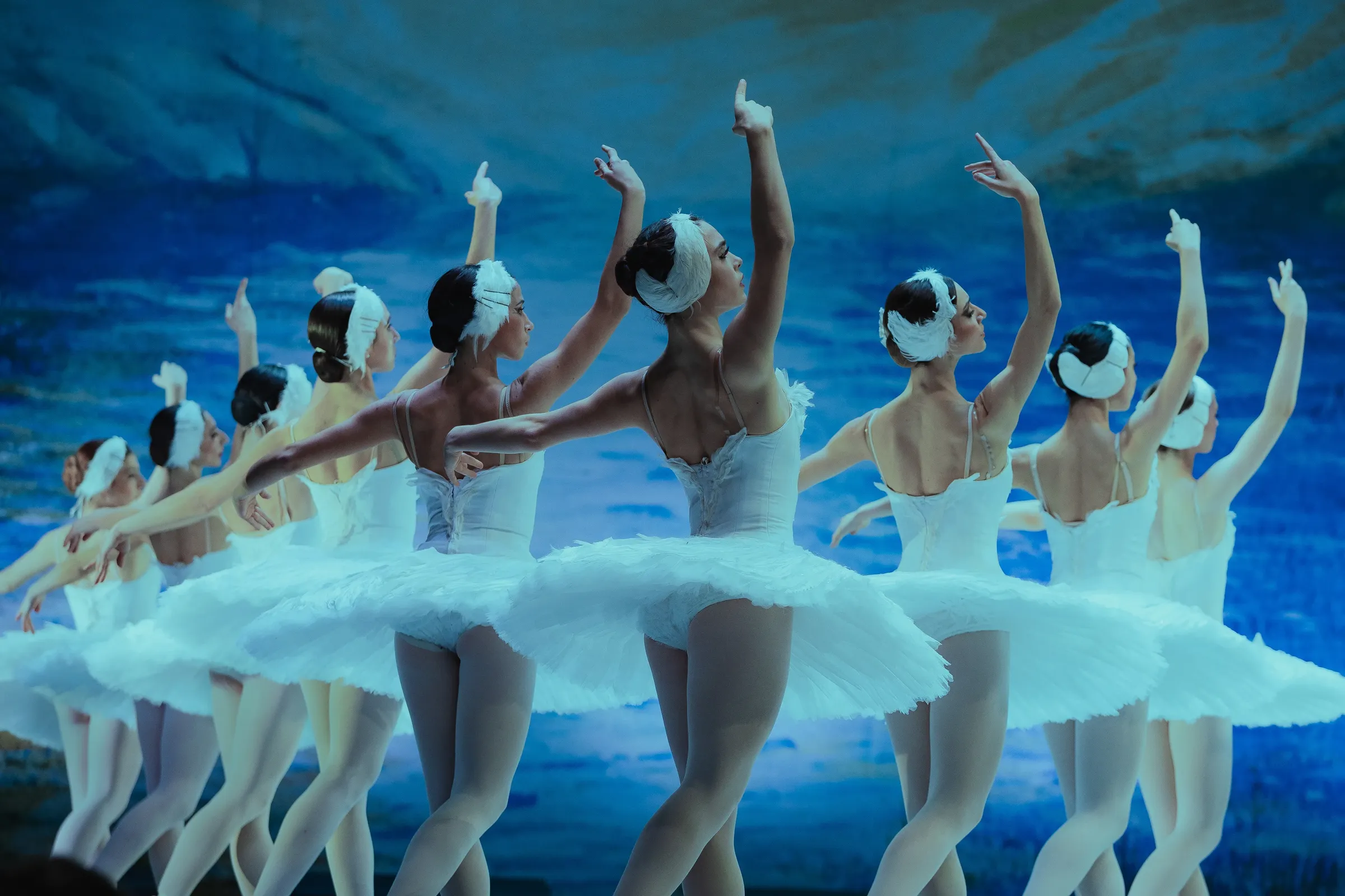 Schwanenensemble im blauen Bühnenlicht